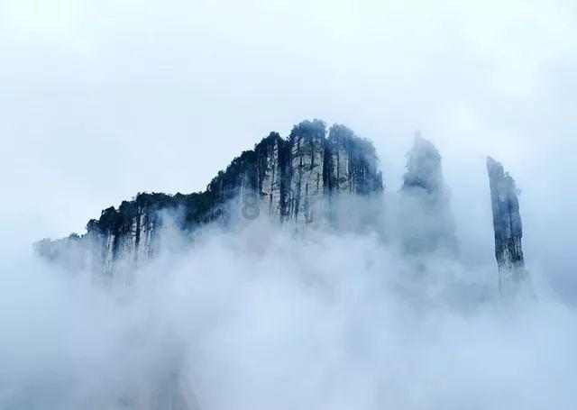 花与剑